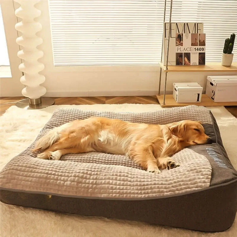 Large dog resting on a deep orthopedic dog bed, showing the foam support beneath them