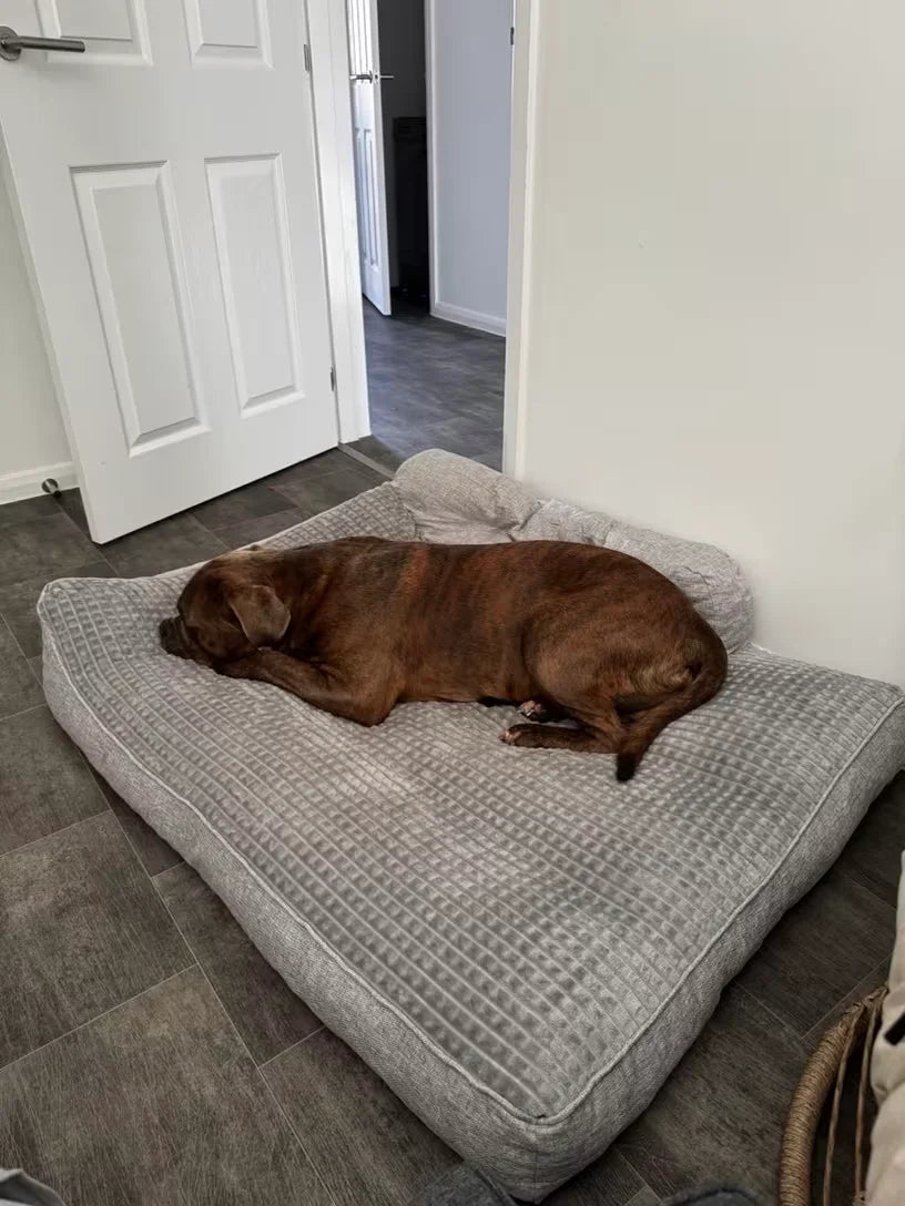 Customer photo