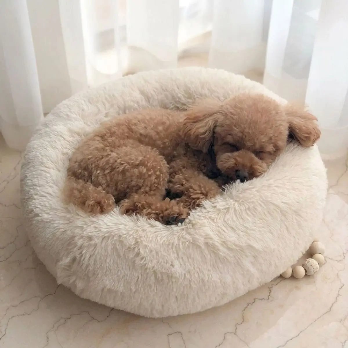 CalmNest calming dog bed raised bolster rim