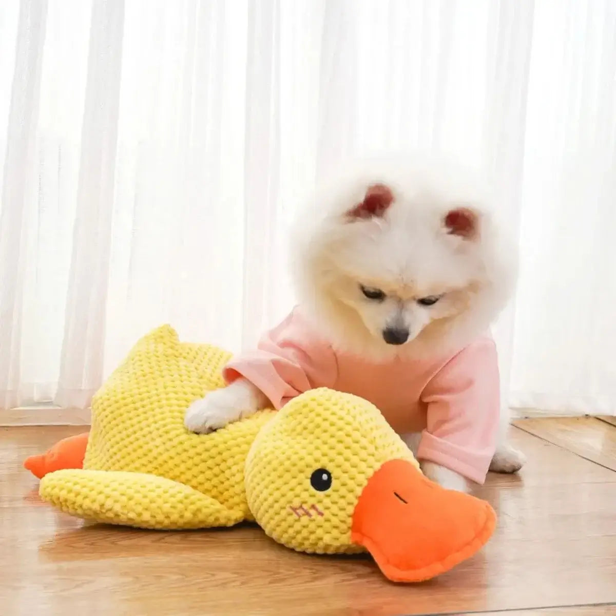 Plush_Squeaky_Duck_Toy | KovePaws