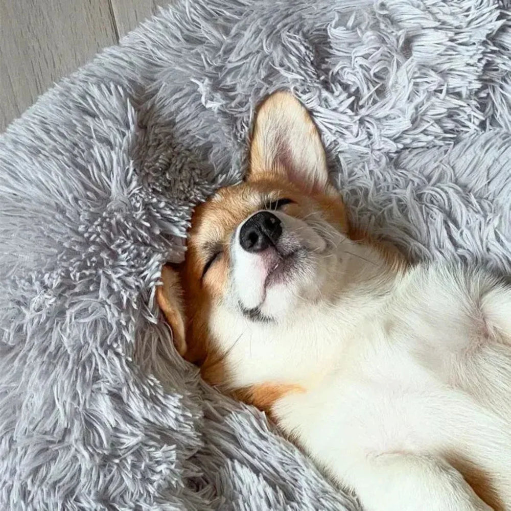 CalmNest™ Calming Dog Bed