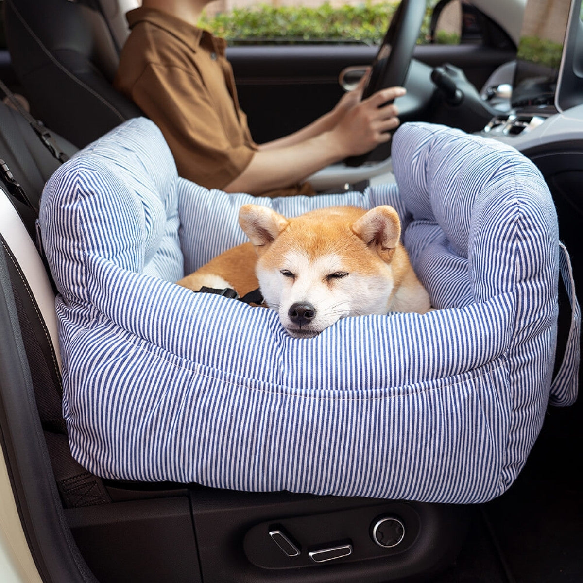 Cozy Car Bed
