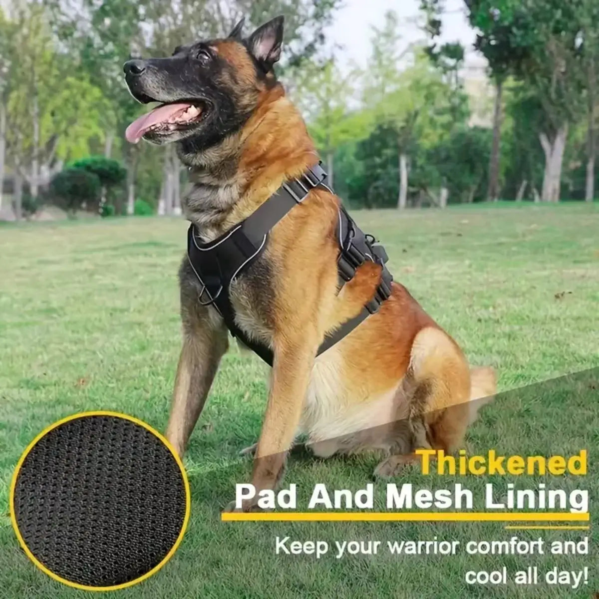 Dog wearing a harness in a grassy field with text about thickened pad and mesh lining.