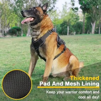 Dog wearing a harness in a grassy field with text about thickened pad and mesh lining.
