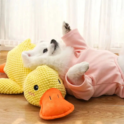 Plush_Squeaky_Duck_Toy | KovePaws