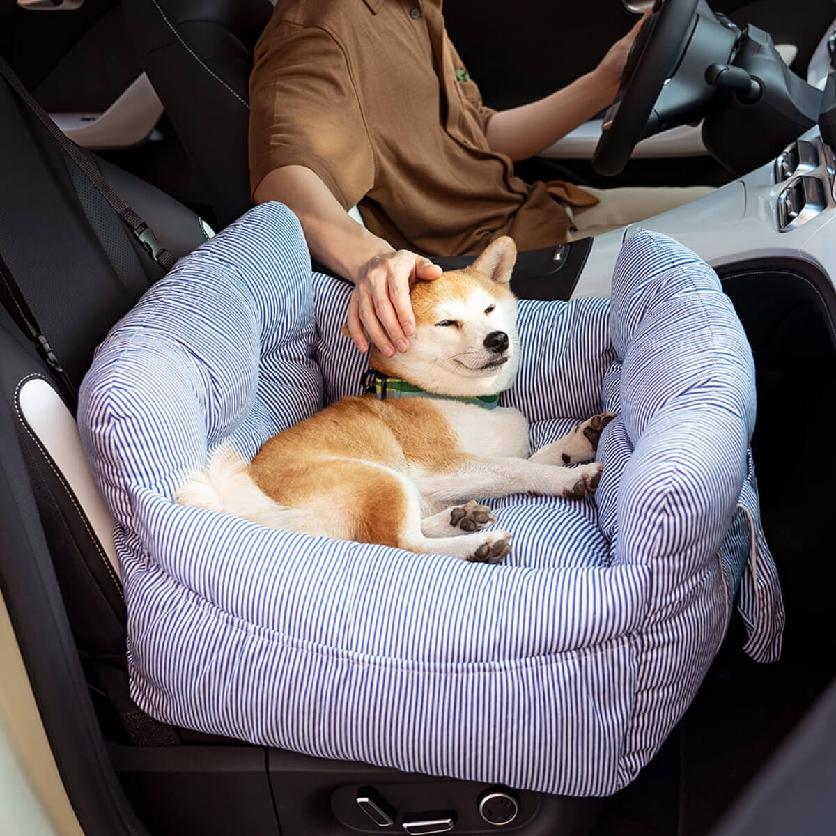 Dog lying in a striped pet seat in a car with a person petting it