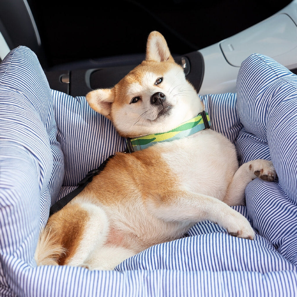 Cozy Car Bed