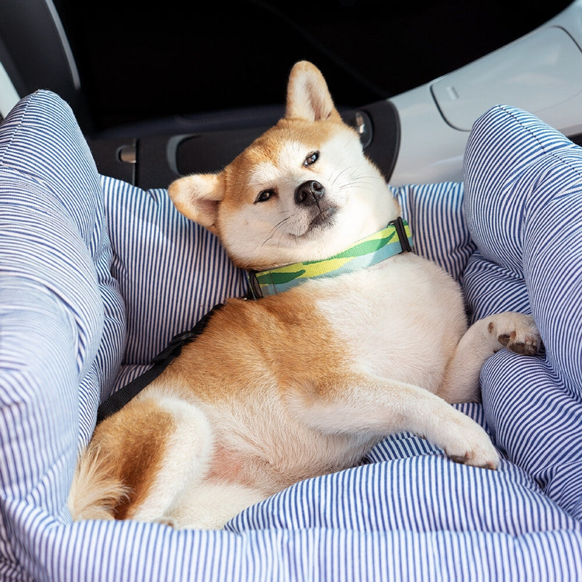 Cozy Car Bed
