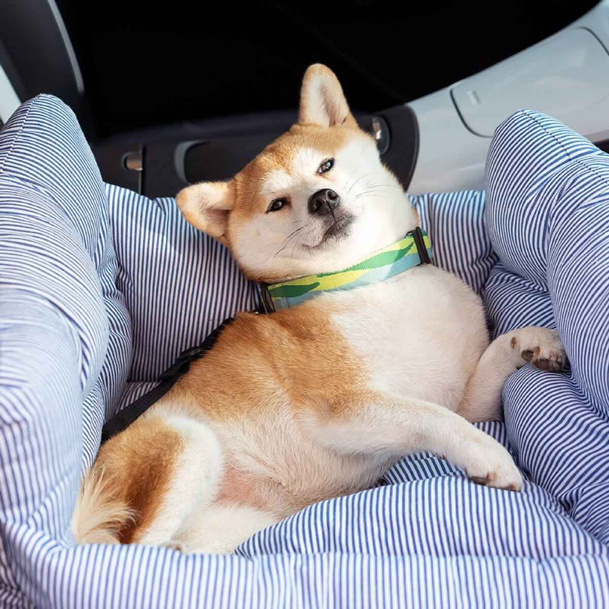 KovePaws Cozy Car Bed secure dog travel bed with safety leash - KovePaws