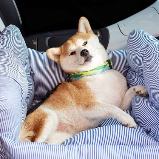 KovePaws Cozy Car Bed secure dog travel bed with safety leash - KovePaws