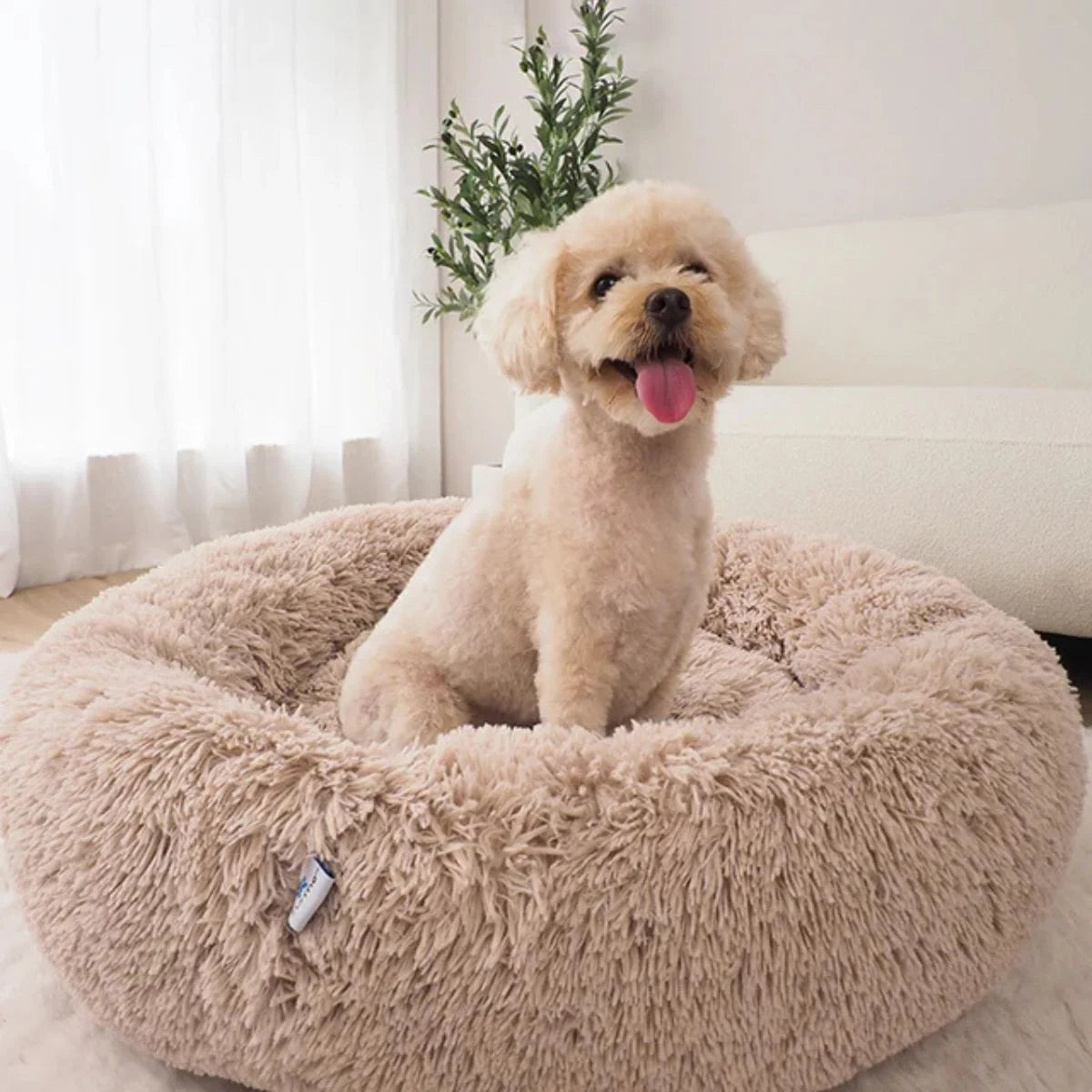 KovePaws CalmNest Bed