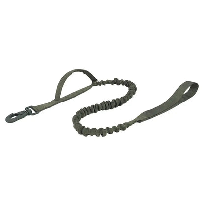Black dog leash with a metal clip on a white background