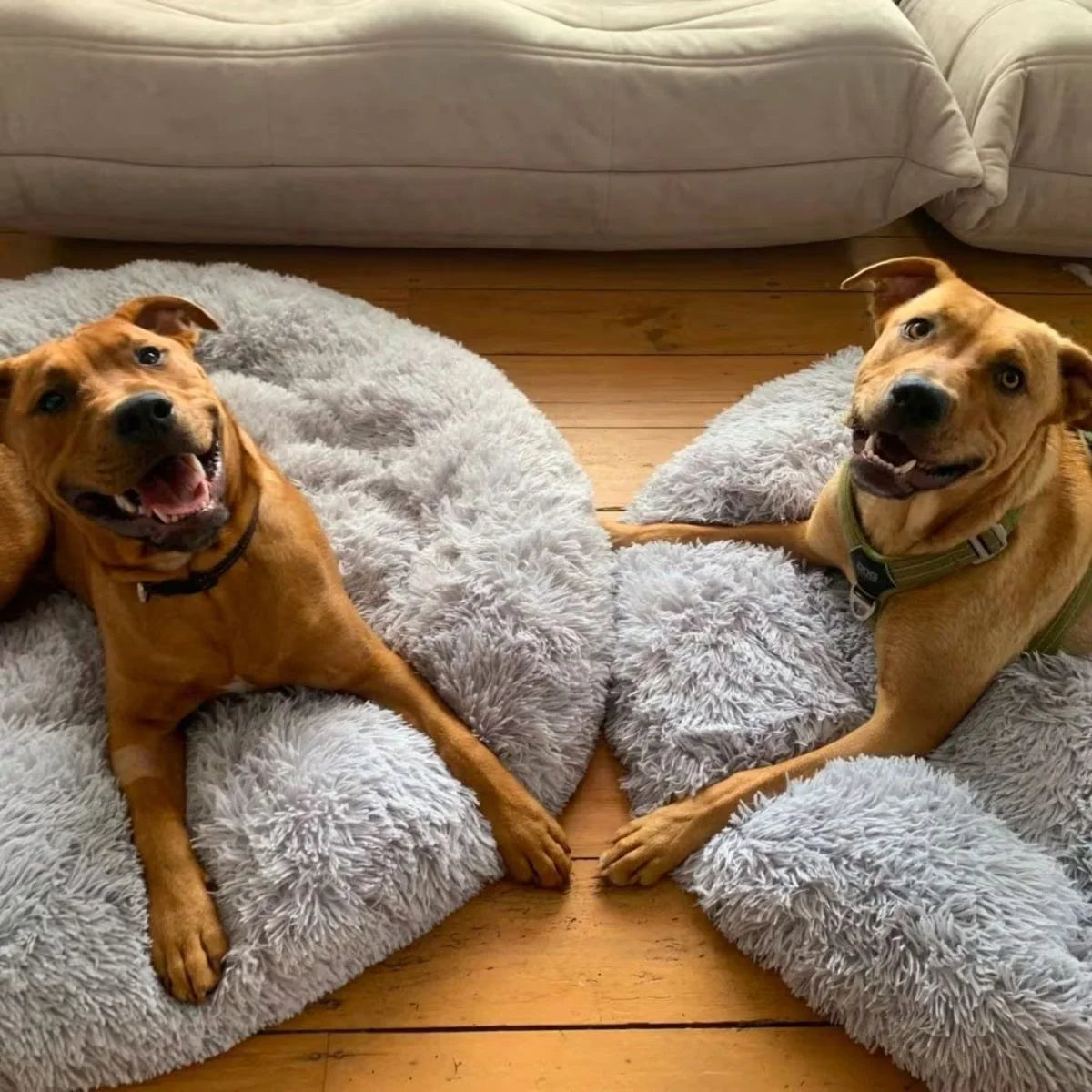 KovePaws CalmNest Bed