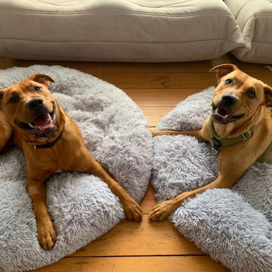 KovePaws CalmNest Bed