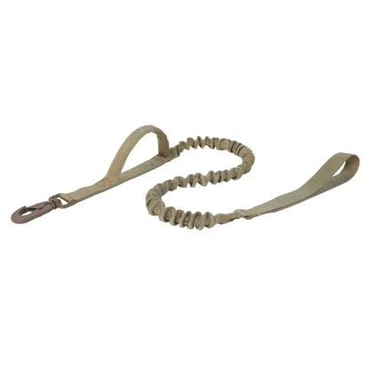 Green dog leash on a white background