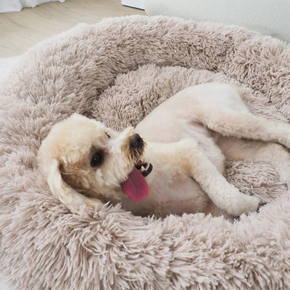 KovePaws CalmNest Bed