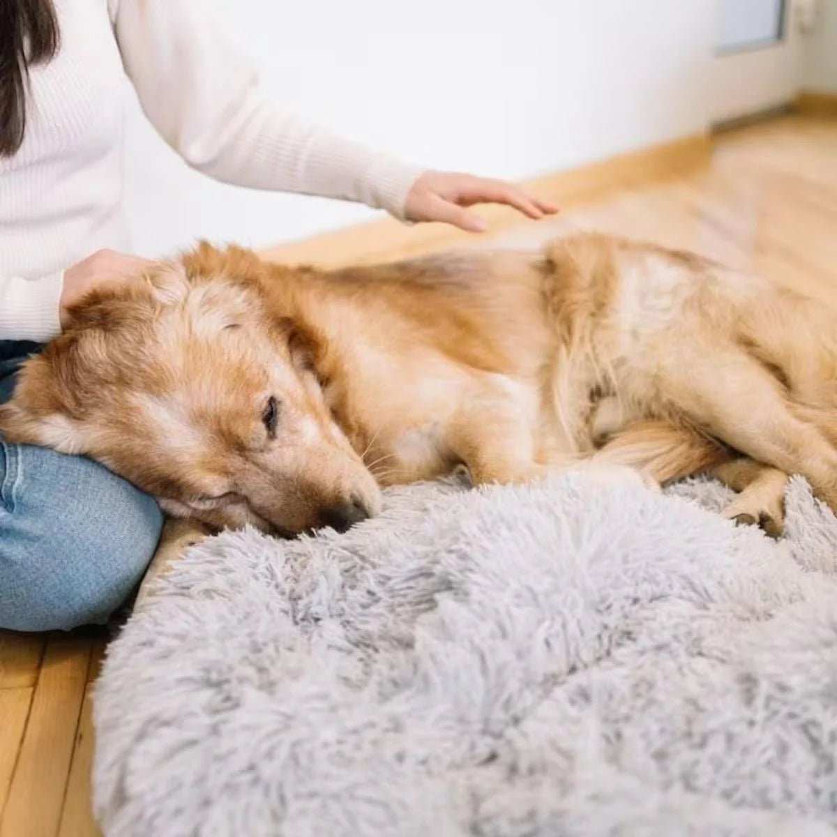 KovePaws CalmNest Bed