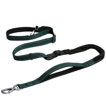 Multifunctional 7-in-1 adjustable dog safety leash - KovePaws