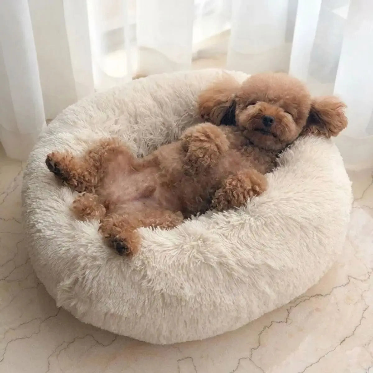 Anxious dog settling into a calming donut bed