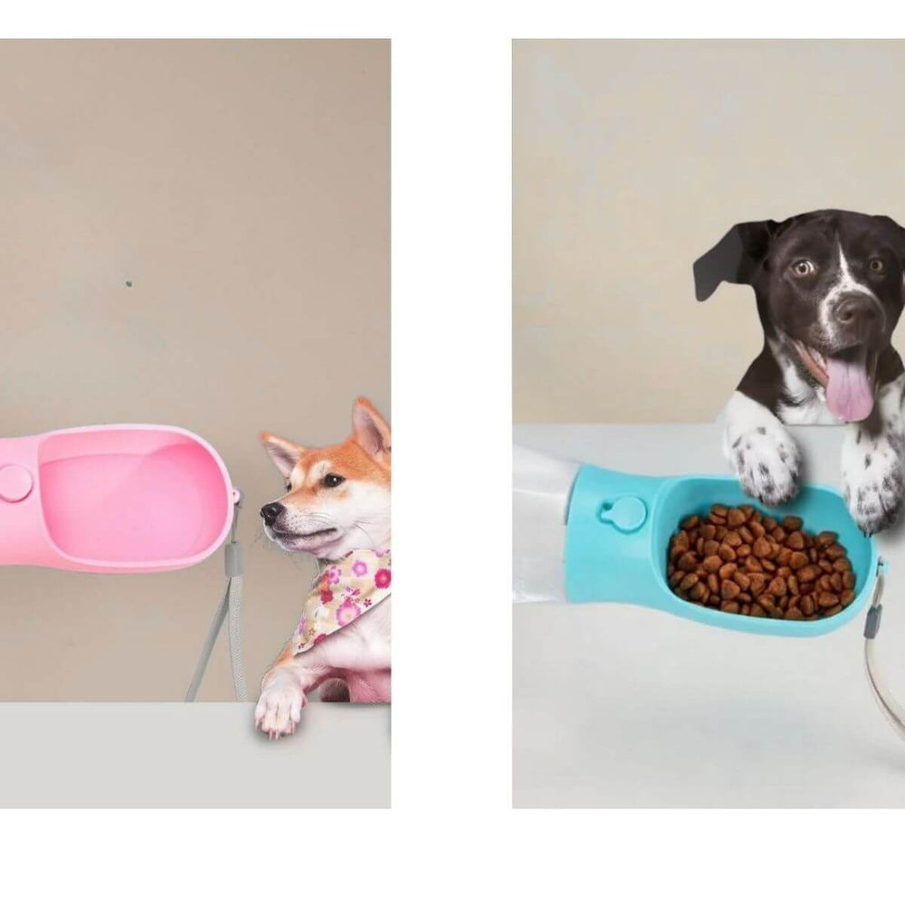Two images of dogs with pink and blue pet bowls on a beige background