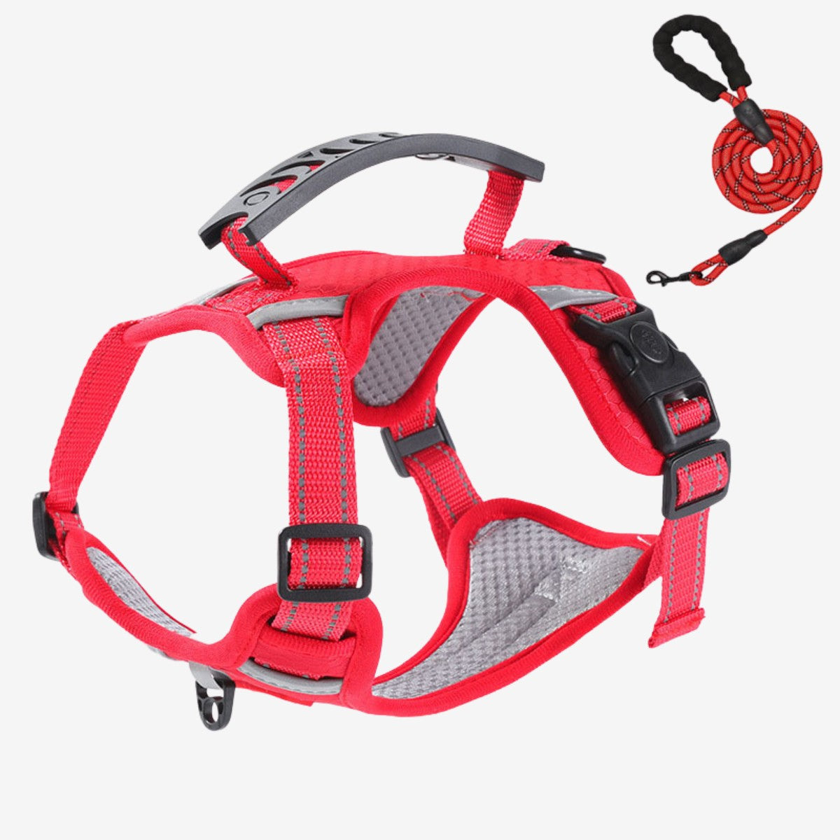 Oxford Dog Harness
