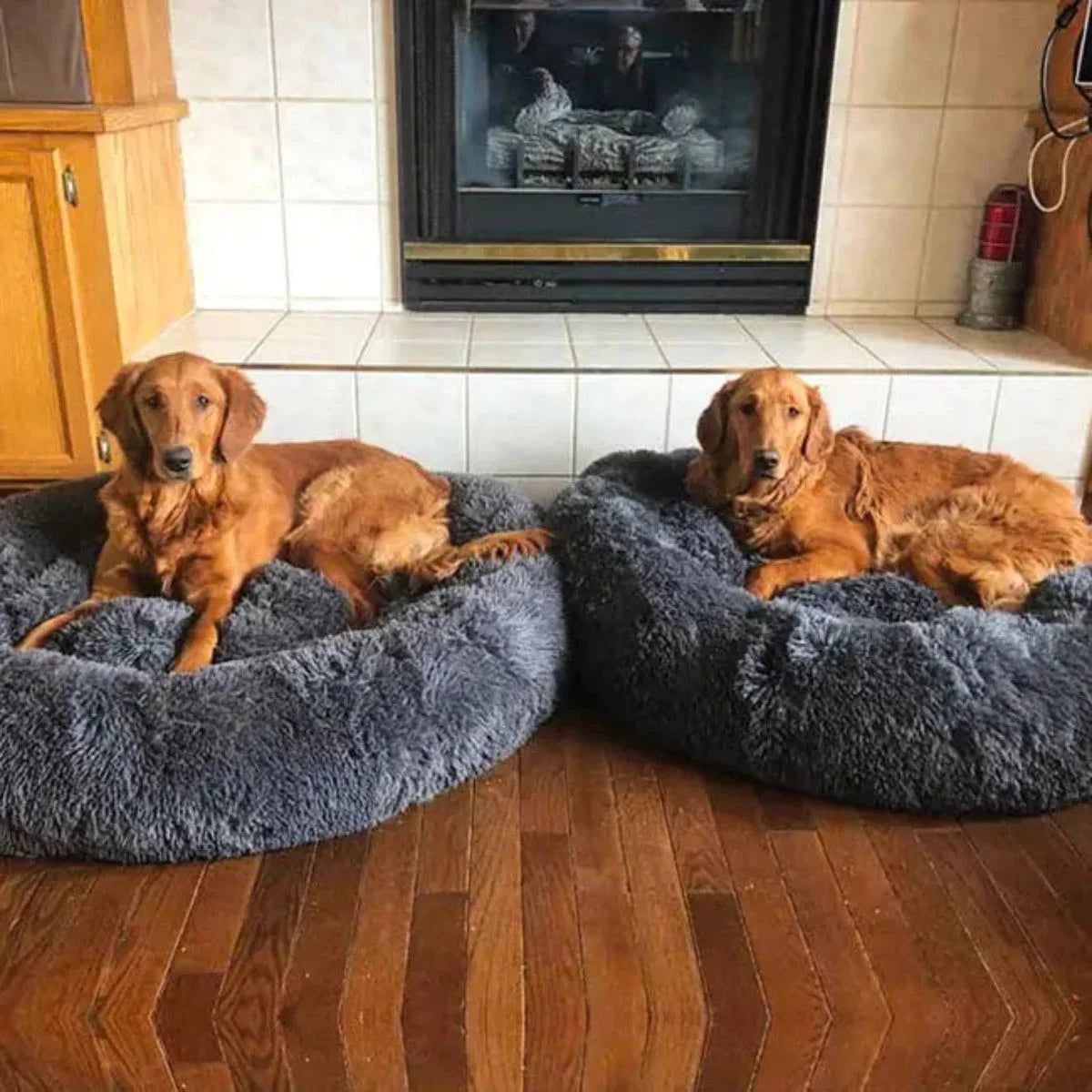 KovePaws CalmNest Bed