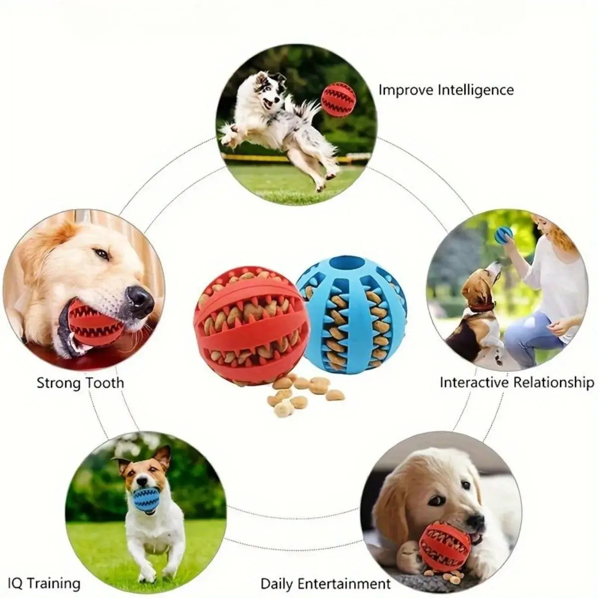 1pc Hondenbal Speelgoed voor Kleine Honden Interactieve Elastische Puppy Bijtspeeltje Tandenreiniging Voerbal Speeltje Huisdierbenodigdheden