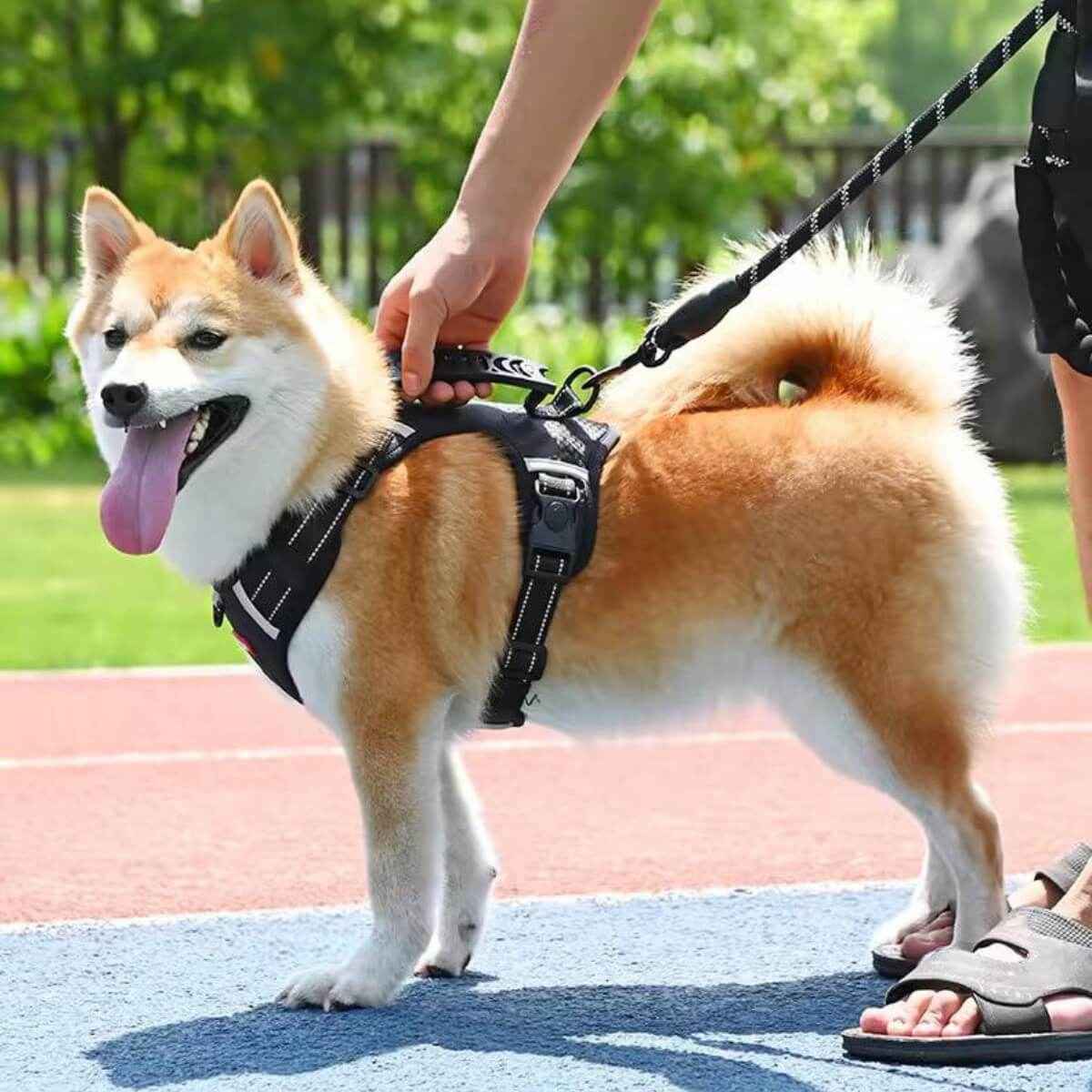 KovePaws Oxford breathable dog harness with reflective strips - KovePaws