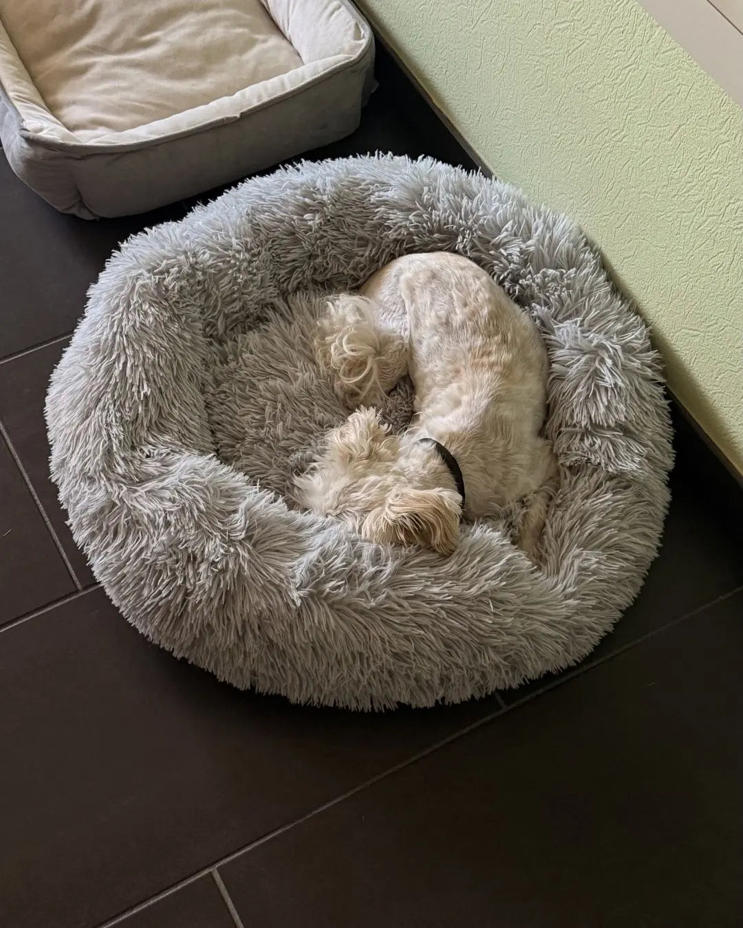 Dog curled up asleep in a KovePaws CalmNest calming dog bed