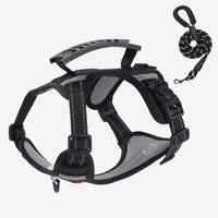 Oxford Dog Harness