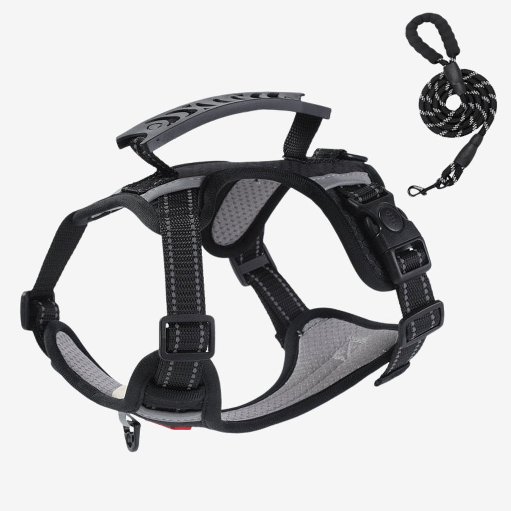 Oxford Dog Harness