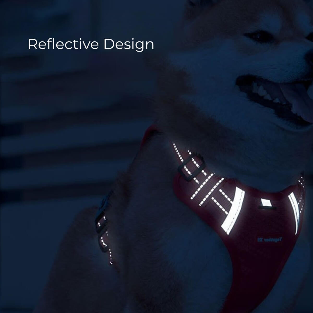 Reflective design on a red dog harness 