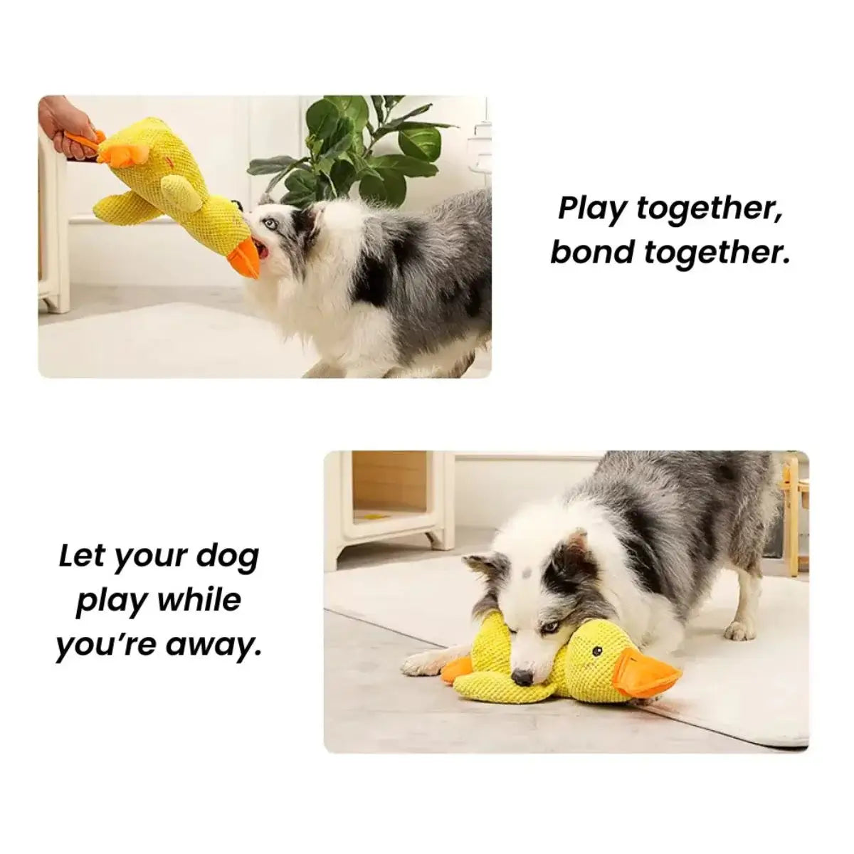 Plush_Squeaky_Duck_Toy | KovePaws
