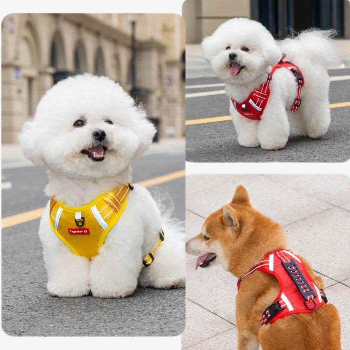 KovePaws Oxford breathable dog harness with reflective strips - KovePaws