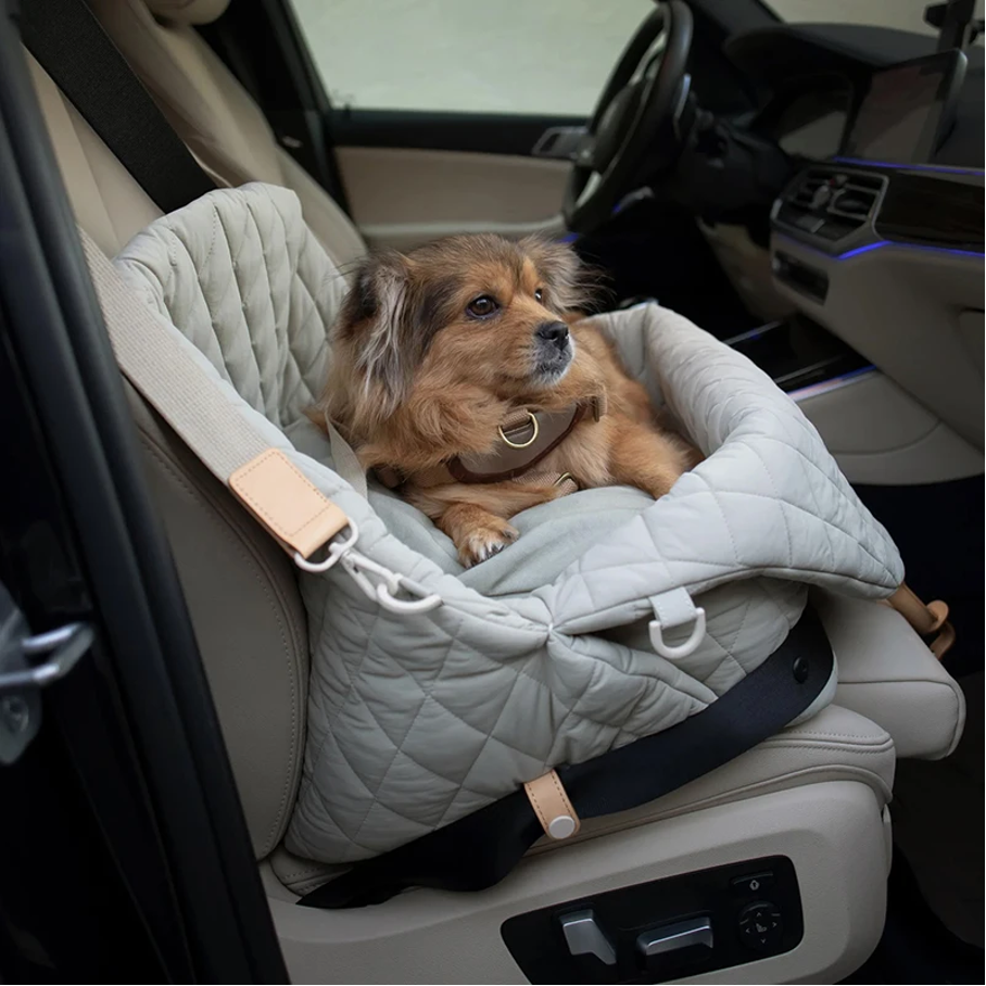 Luxurious Travel Bag