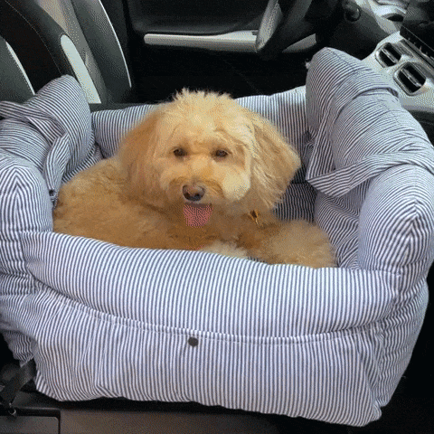 KovePaws Cozy Car Bed secure dog travel bed with safety leash - KovePaws