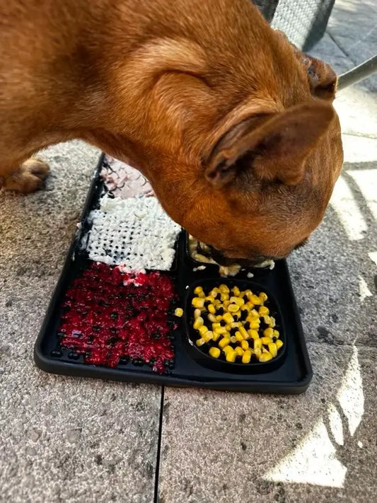 KovePaws ZenLick Mat