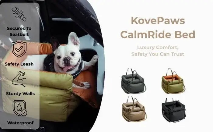 CalmRide dog car bed features — bolster sides, safety strap, waterproof base