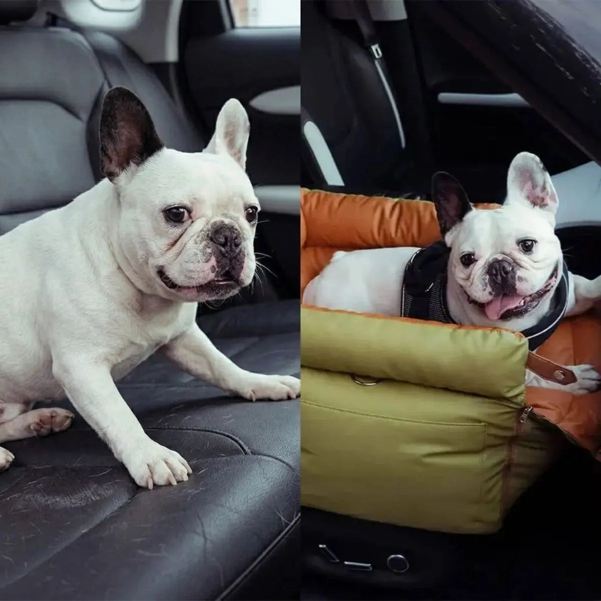 Before and after — dog loose on a car seat versus settled in a CalmRide bed