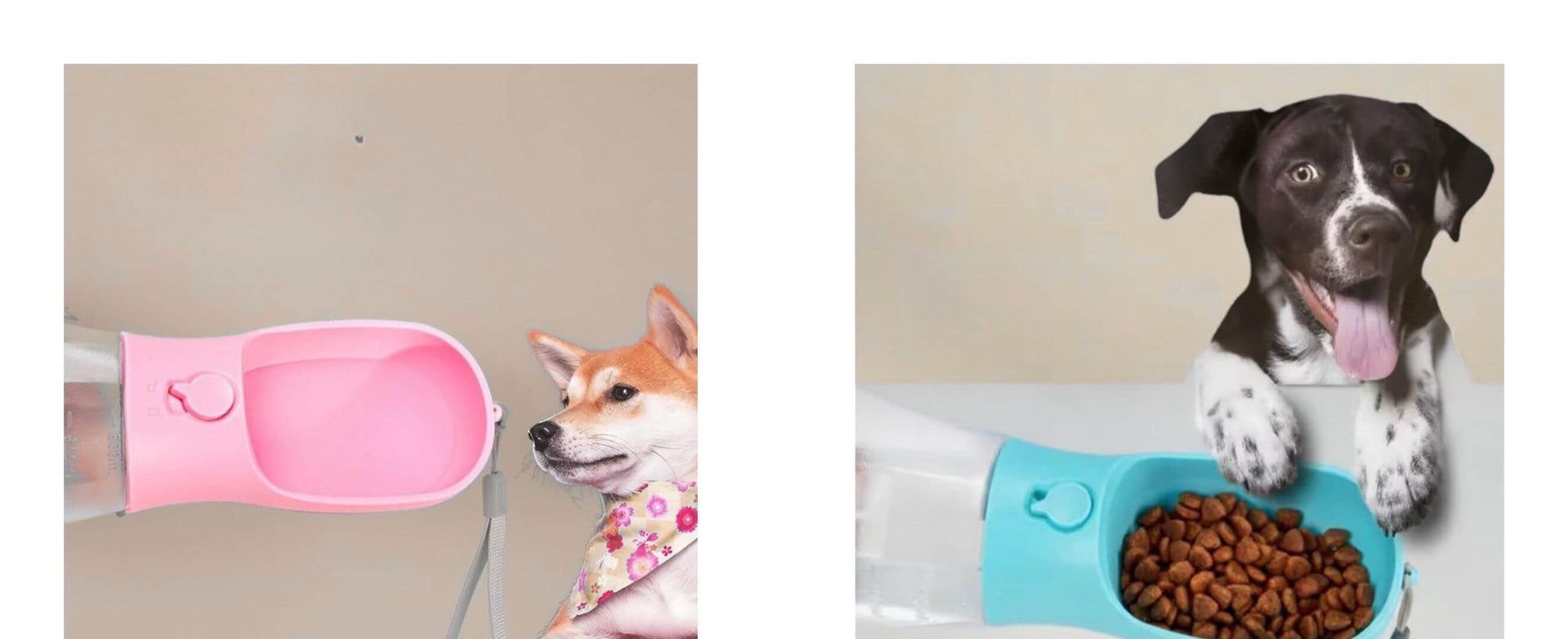 Two images of dogs with pet products; a pink pet toy on a beige background and a blue pet bowl with food on a neutral background.