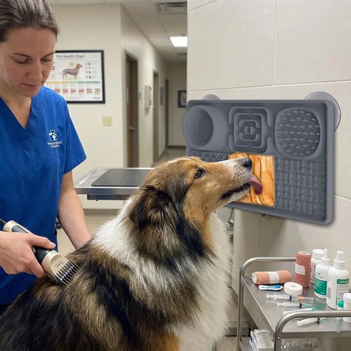 Vet visits