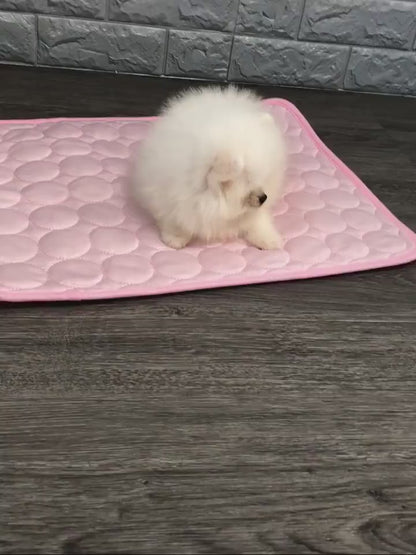 Breathable Pet Cooling Mat